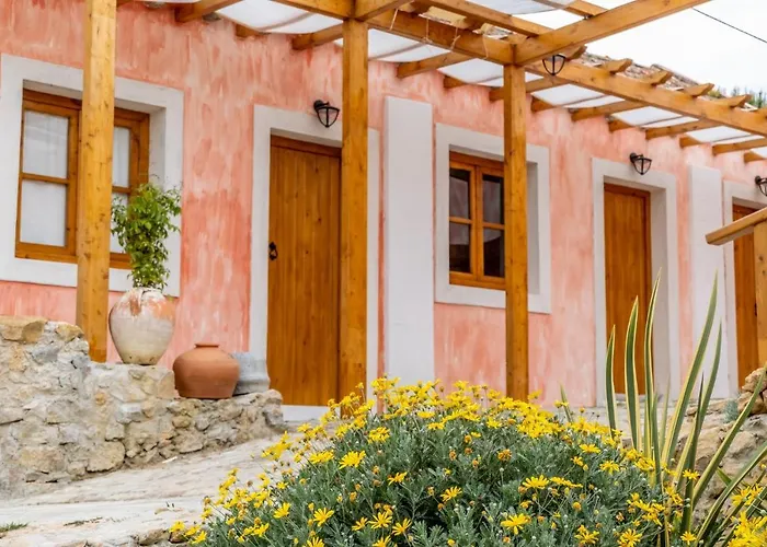 Terra * אריסרייה