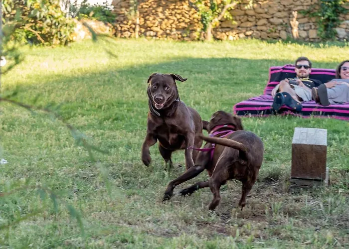 אכסניה Terra אריסרייה